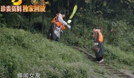 两娃娱乐爆料是真的吗知乎,知乎热议背后的真相